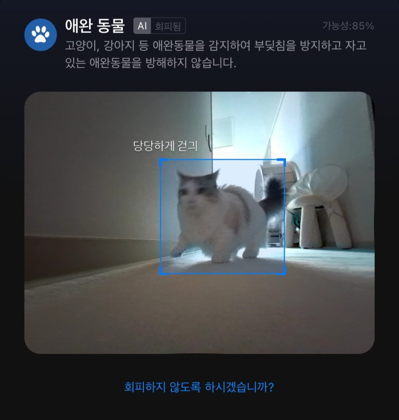로봇청소기가 인식한 고양이