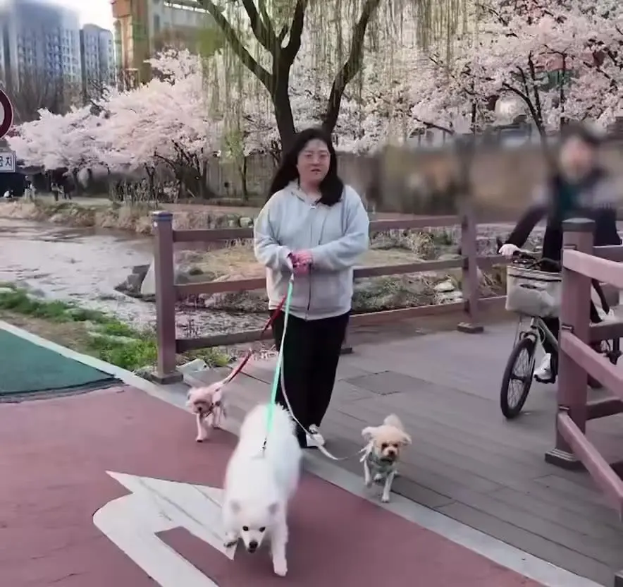 강형욱 극대노, 개 키우면 안되는 사람